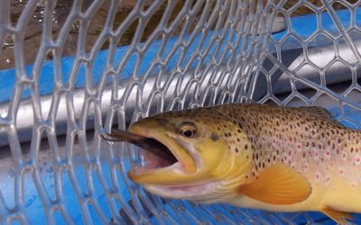 Good bye June, I’ll miss you but thanks for everything!