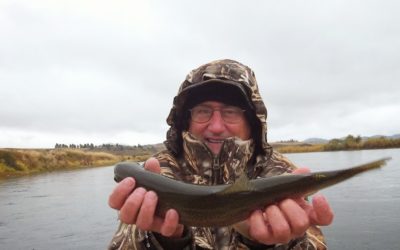 One, two, three, now breathe!!