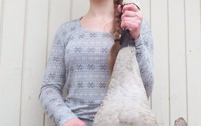 Cleaning dogs, guns, and birds!