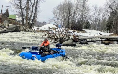 Where are the skwala’s?