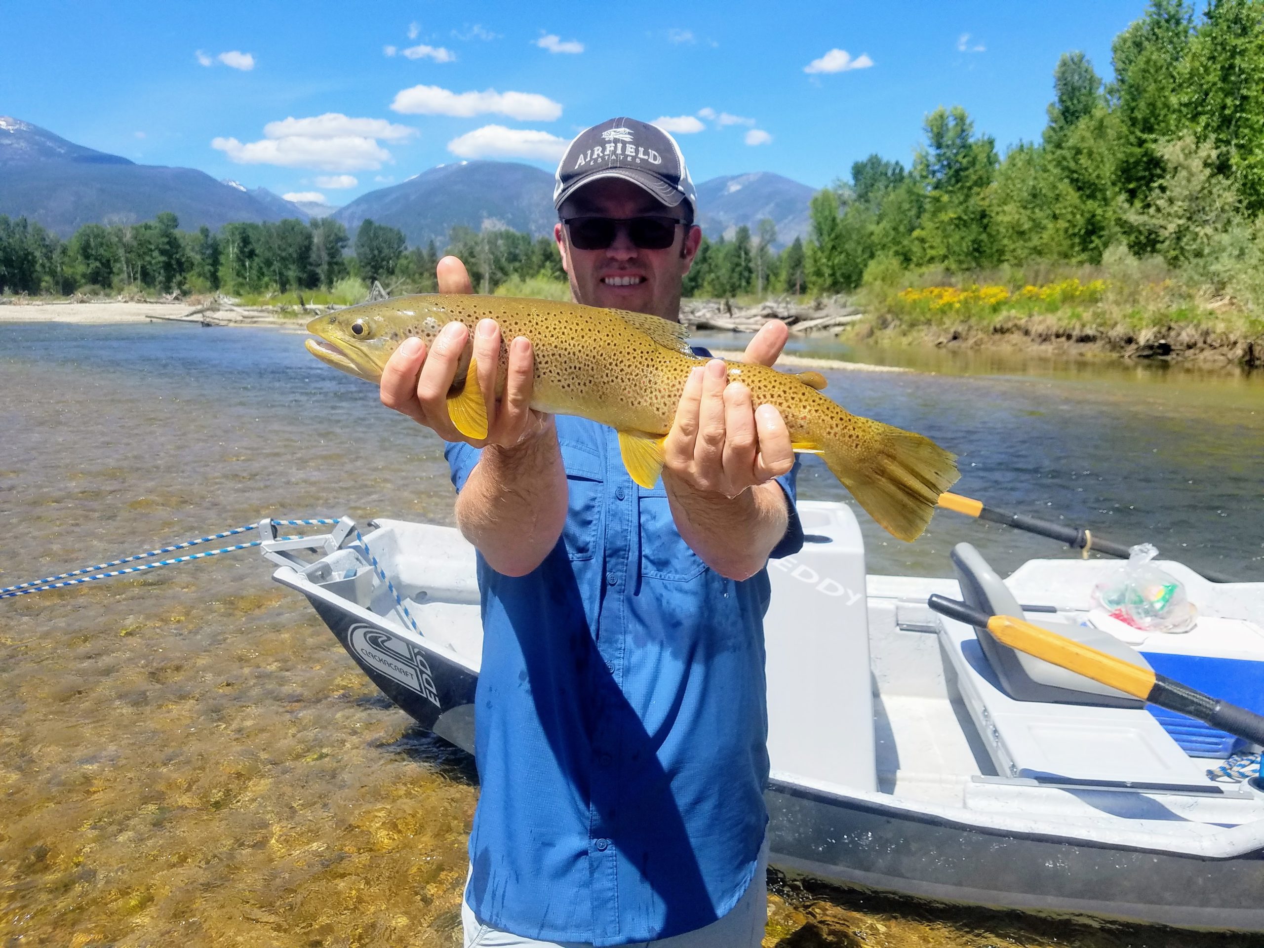 Bitterroot river rainbow trout