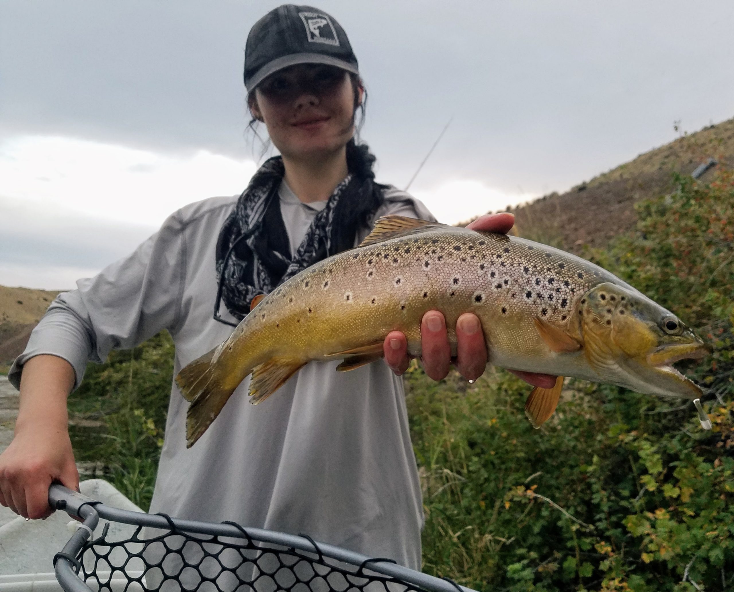 Bitterroot river rainbow trout