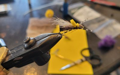 Tying, Tying all day long, and the ramblings of an old fishing guide!